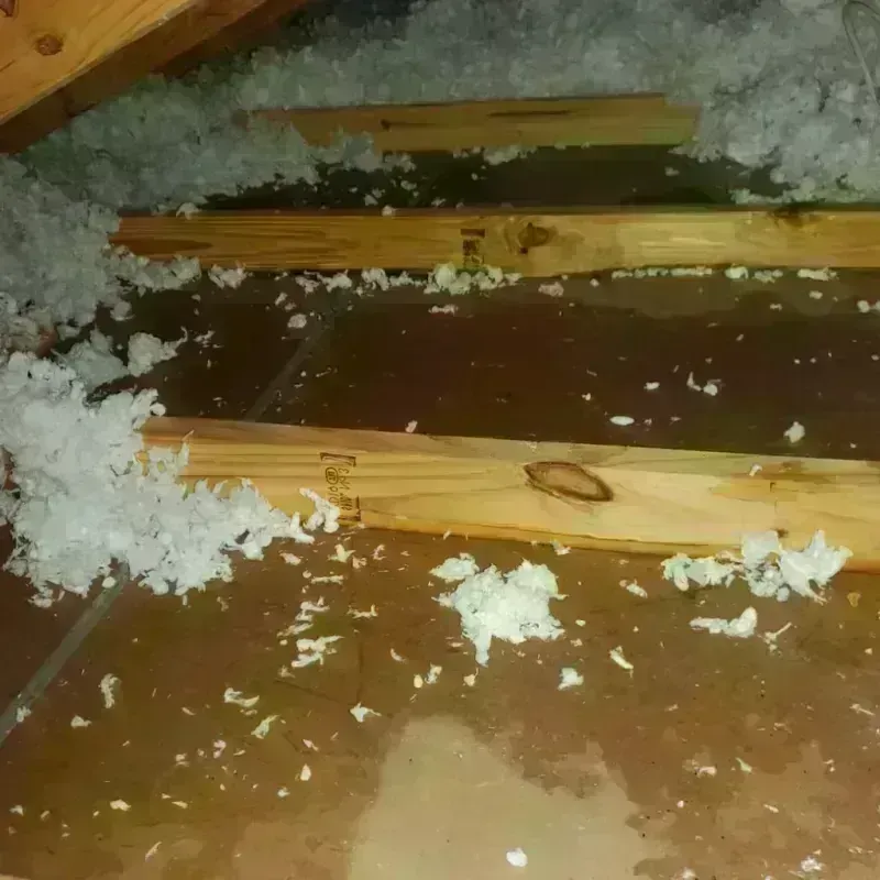 Attic Water Damage in Rustburg, VA