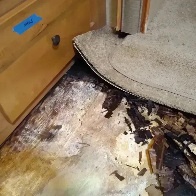 Best Wood Floor Water Damage Service in Rustburg, VA